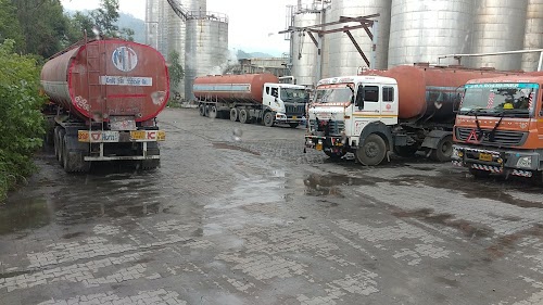VVF India Ltd