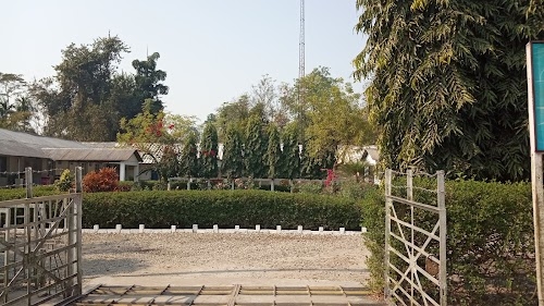 Damdim Tea Estate Factory, Amalgamated Plantations Pvt Ltd