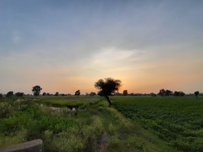 Dewas