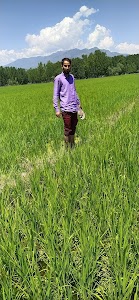 Sultan Pora Khai