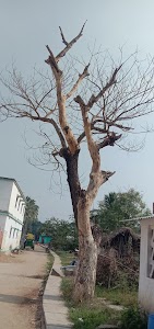 Govind Nagar