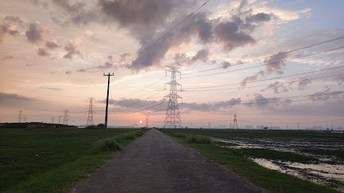Chandu - Budhera Canal Area
