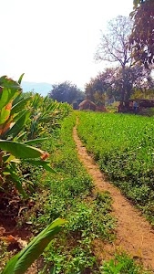Bahuli