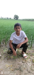 Jagosh
