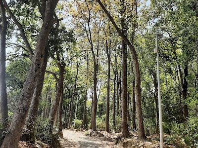 Kuanwala