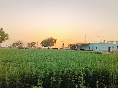Yadav farmhouse sali