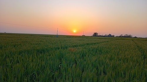 Garhia