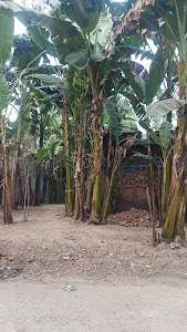 Udhwa