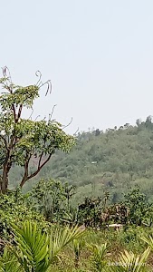 Road to Golden Pagoda