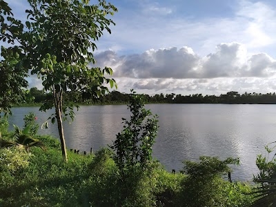 Raidighi Dighi