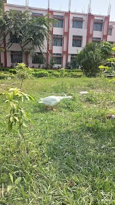 Seacom B.Ed College
