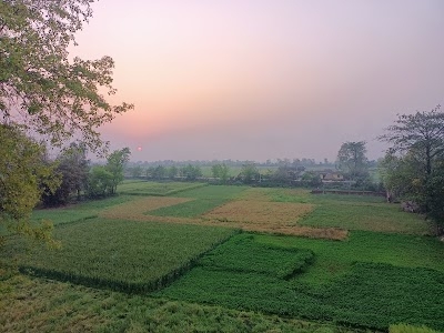 Dirpal Bigha