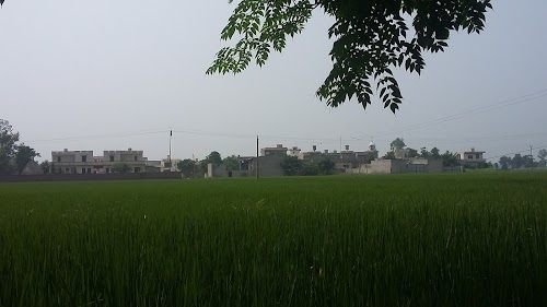 Turi