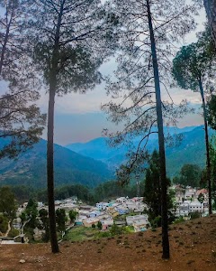 Thalisain Pauri Garhwal Uttarakhand 246285