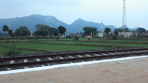 Sirsa Nunthar Halt