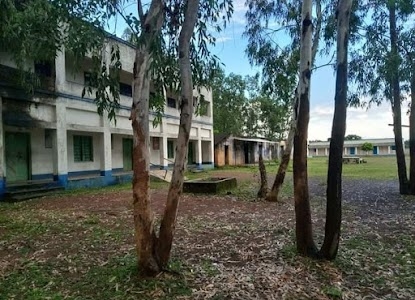 Ichharia