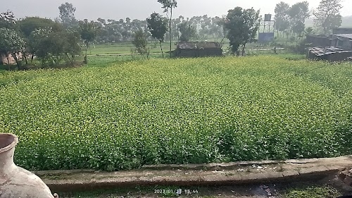 BAJRANGBALI STHAN, JAGANNATHPUR TOLA, FARDA