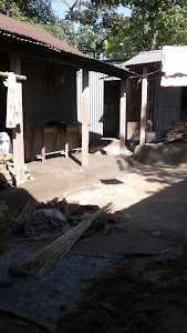 Paul Shop