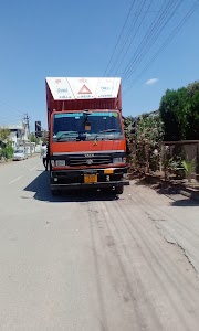 Udaipur Golden Transport