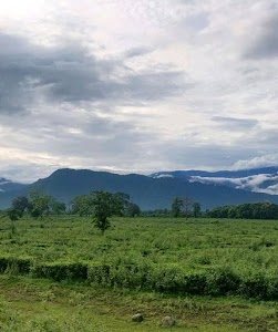Pasakha Lam
