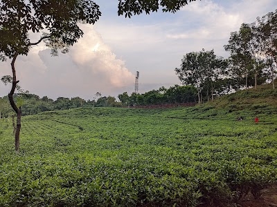 Airport Road