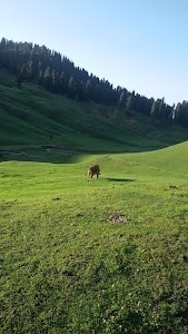 Bota Pathri Road