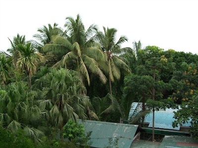 Alibag - Revas Road