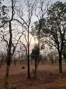 Bilaspur Road