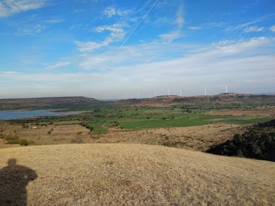 Dewas Road