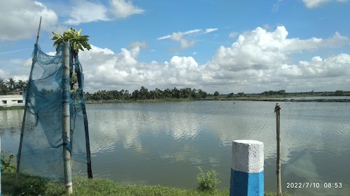 Kharibari Road