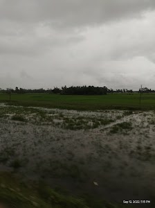 Kulpi Station Road