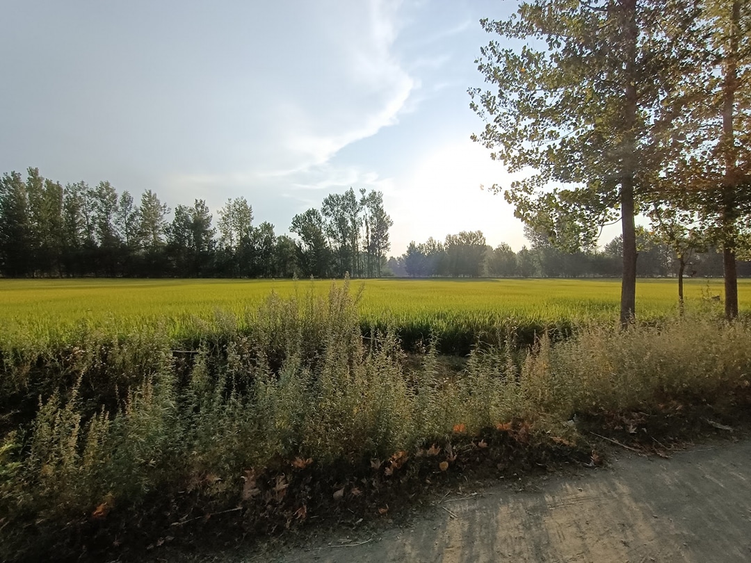 Awantipora Road