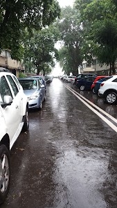 D Road