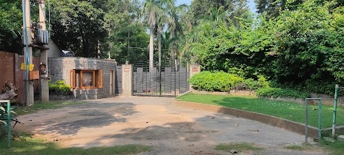 Forest Lane