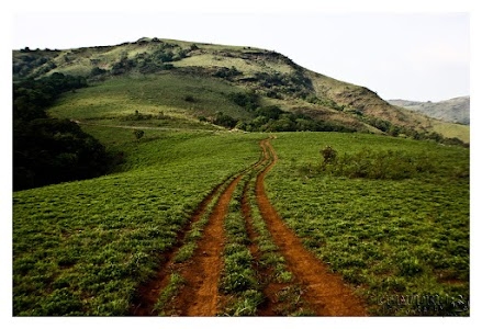 Kalasa Horanadu Road