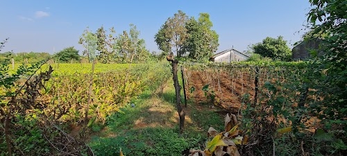 Kaliyari - Rumla Road