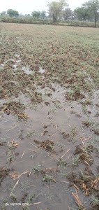 Balod Dhamtari Road