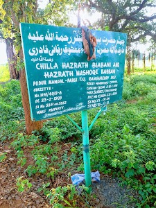 Pargi - Manneguda Road