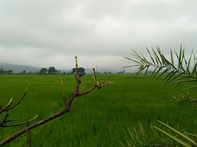 Bamra Road