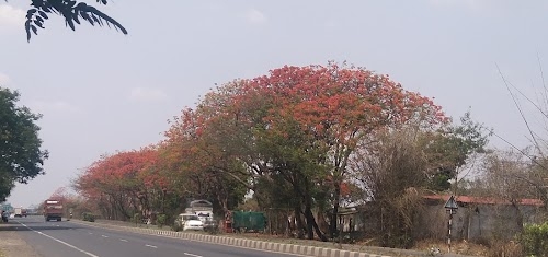 Butibori Road