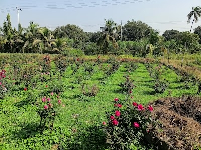 Dhaka - Dinajpur Highway