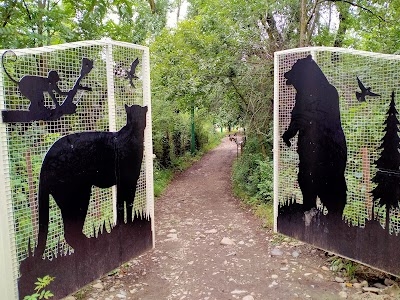 Dachigam National Park Road
