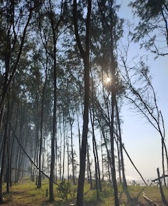 Kelve Road