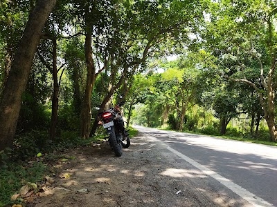Bazpur Road