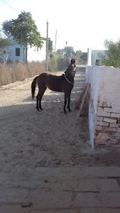 Ratangarh Road