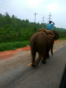 Janakpur-Jaleshwor Road
