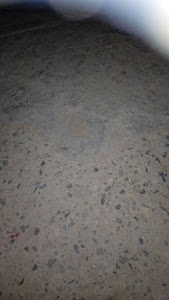 Nagpur Road