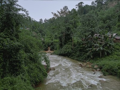 Tipong Colliery