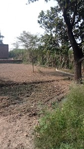 Kalandi Road