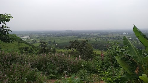 Mandla Road